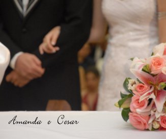 Amanda e Cesar book cover
