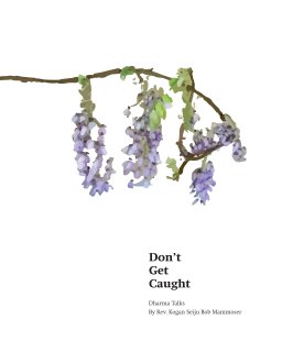 Don't Get Caught book cover