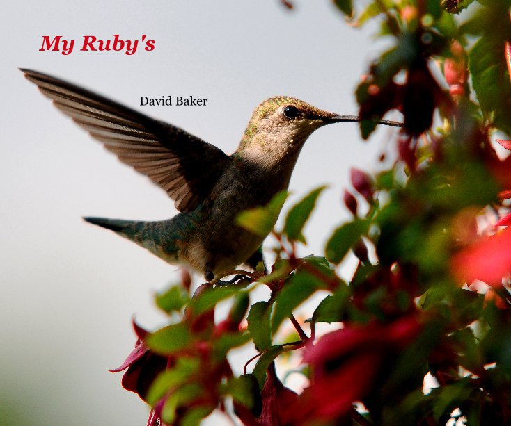 Ver My Ruby's por David Baker