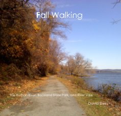 Fall Walking book cover