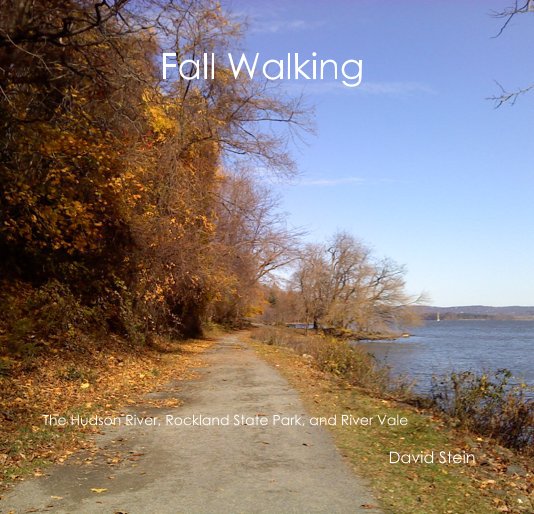 View Fall Walking by David Stein