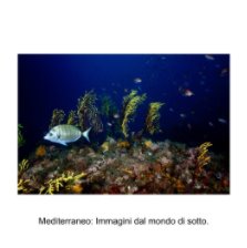 Mediterraneo book cover