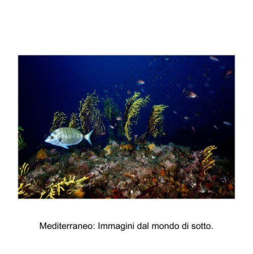View Mediterraneo by Stefano Morabito