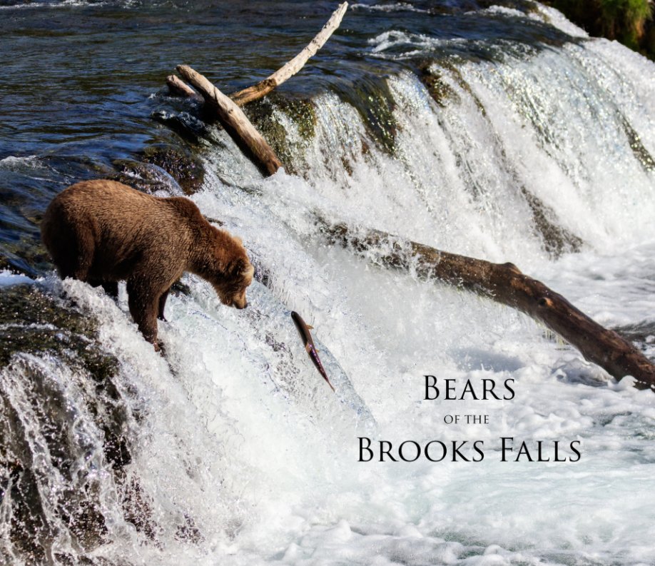 View Bears of the Brooks Falls by Ingo Sagoschen