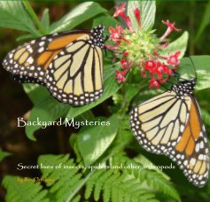 Backyard Mysteries book cover