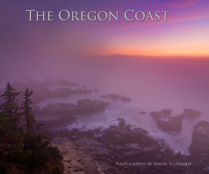 View The Oregon Coast by Aaron Ellingsen