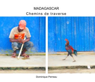 Madagadcar book cover