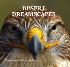 DESERT DREAMSCAPES Photography by Steve Lambesis book cover