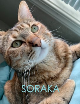 Soraka book cover
