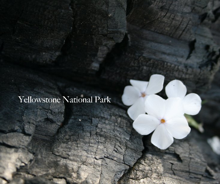 Ver Yellowstone National Park por Ana Cote