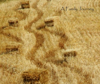 A Family Journey book cover