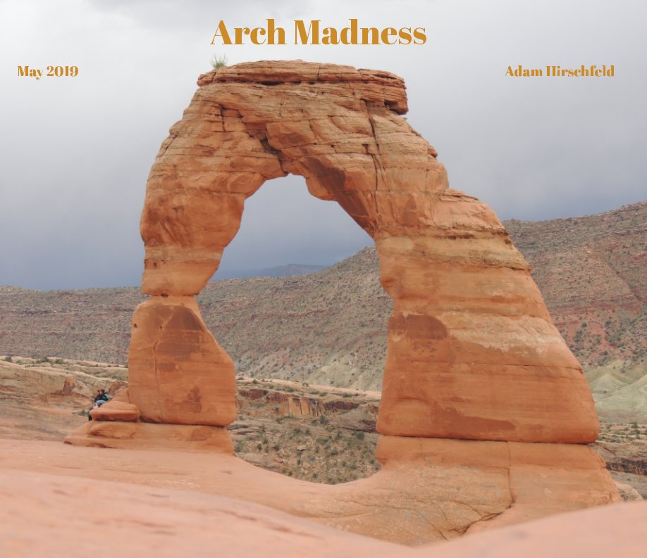 Bekijk Arch Madness op Adam Hirschfeld