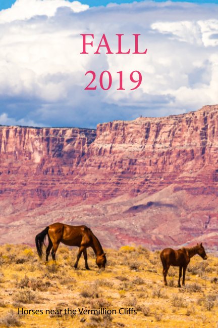 View Fall 2019 by Bill Sparke
