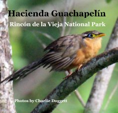 Hacienda Guachapelín book cover