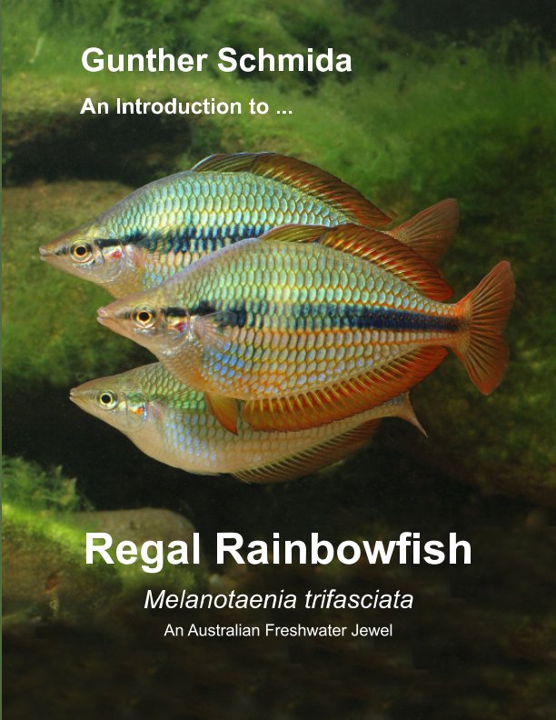 View Introduction to - 
Regal Rainbowfish   Melanotaenia trifasciata by Gunther Schmida