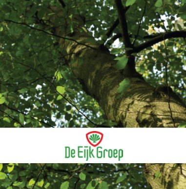 De Eijk Groep 2019 book cover