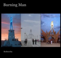 Burning Man book cover