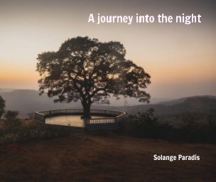 A journey into the night book cover