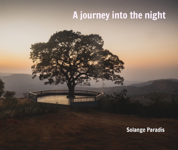 View A journey into the night by Solange Paradis