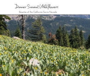 Wildflowers of Donner Summit book cover