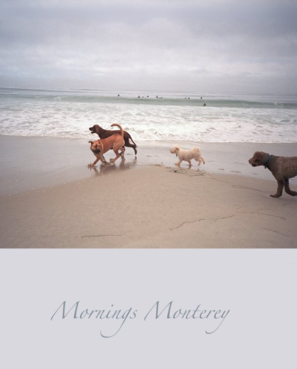 View Mornings, Monterey by Bailey Ann Rosen