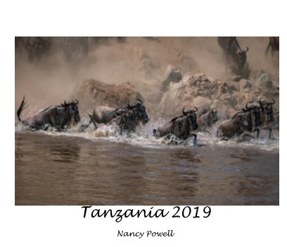 Tanzania 2019 book cover