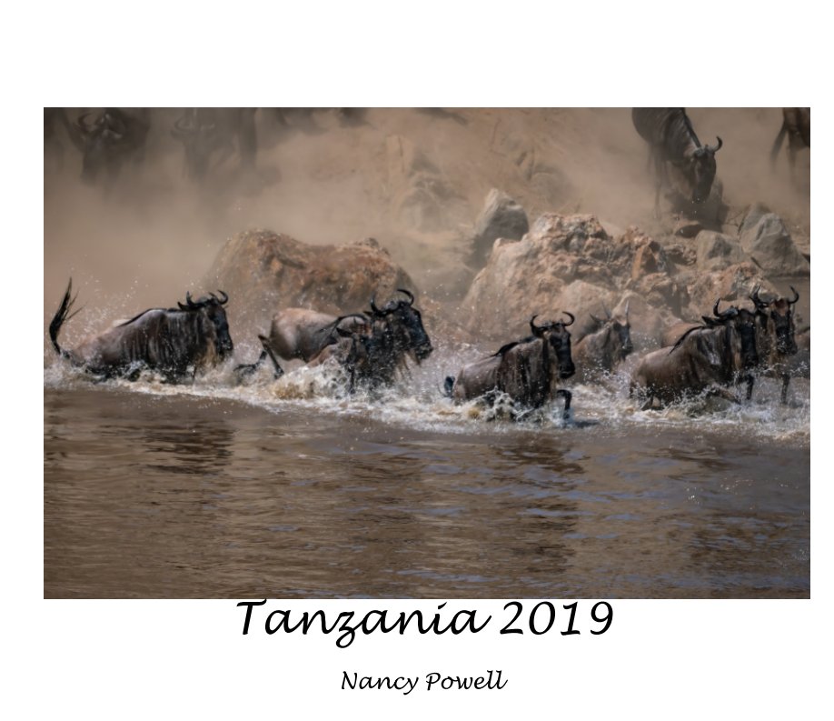 View Tanzania 2019 by Nancy Powell