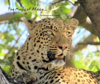 The Magic of Africa - Botswana and Zambia book cover