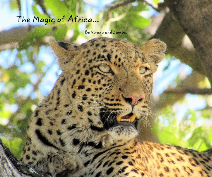The Magic of Africa - Botswana and Zambia nach Sandra Alan-Lee anzeigen