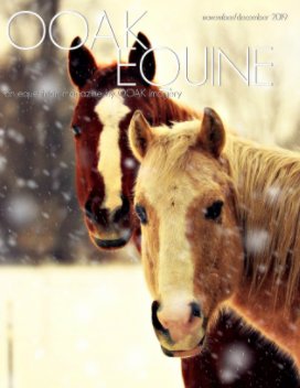 OOAK EQUINE November/December 2019 Issue book cover
