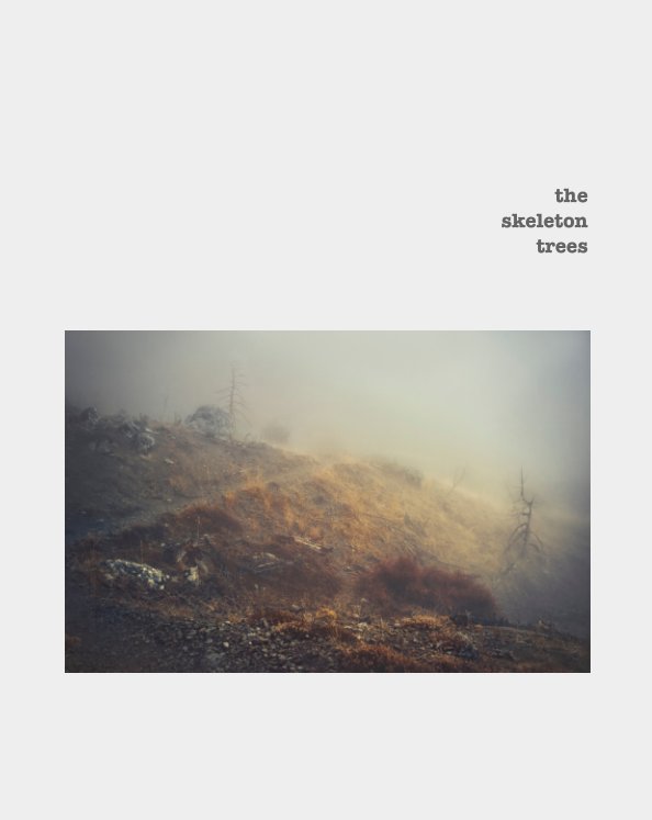 View the skeleton trees by stathis floros