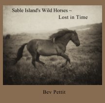 Sable Island's Wild Horses book cover