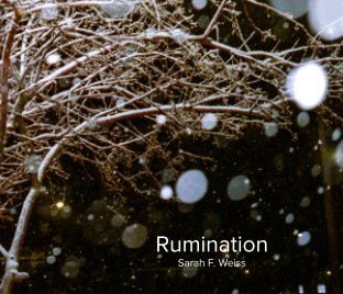 Rumination book cover