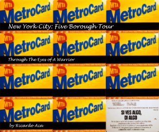 New York City: Five Borough Tour book cover