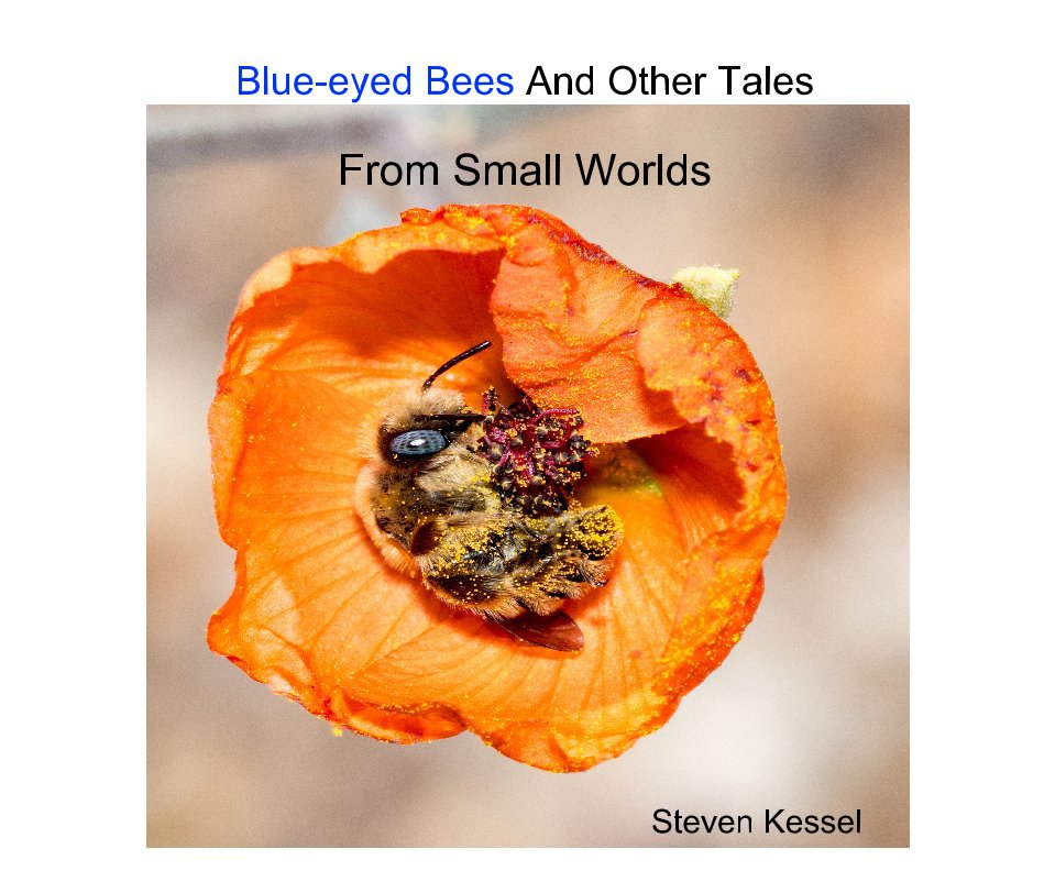 View Blue-eyed Bees And Other Tales From Small Worlds by Steven Kessel