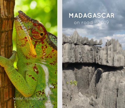 Madagascar  2019 book cover