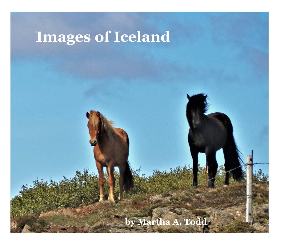 View Images of Iceland by Martha A. Todd