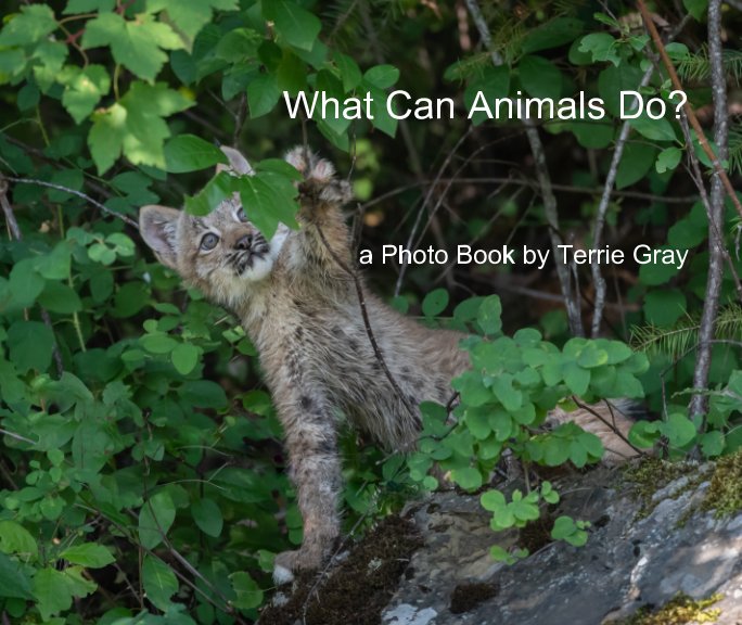 View What Can Animals Do? by Terrie Gray