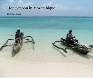 Honeymoon in Mozambique book cover