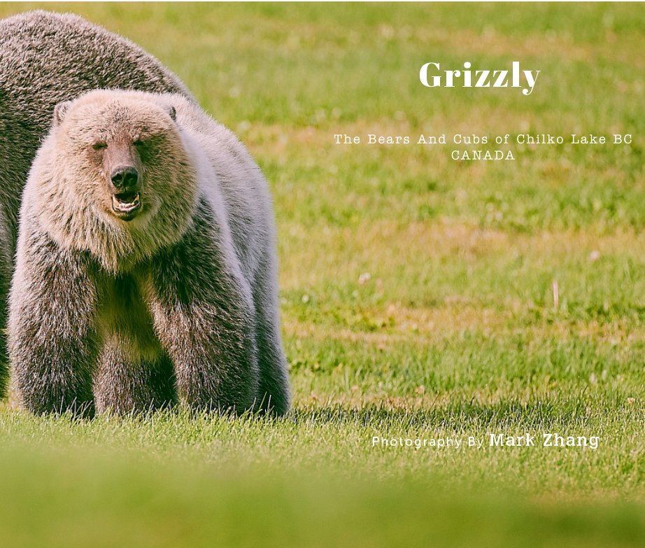 View Grizzly Bears And Cubs by Mark Zhang
