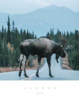 Road Trip in Alaska 2019 book cover