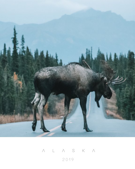 Ver Road Trip in Alaska 2019 por Clemence Biguet