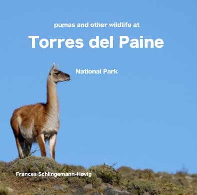 pumas and other wildlife at Torres del Paine National Park book cover