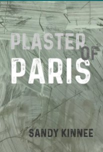 Plaster of Paris book cover