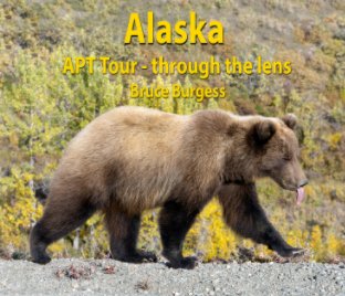 Alaska - APT Tour - through the Lens book cover