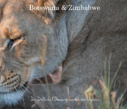 Botswana et Zimbabwe book cover
