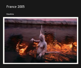 France 2005 book cover
