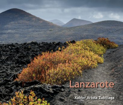 Lanzarote book cover