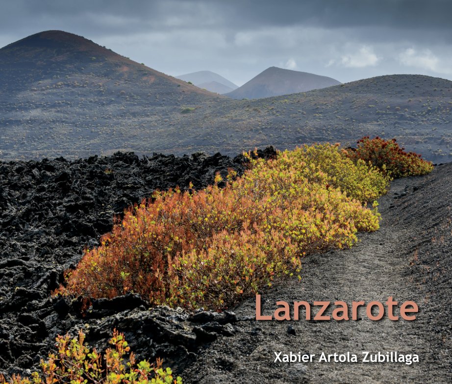 View Lanzarote by Xabier Artola Zubillaga