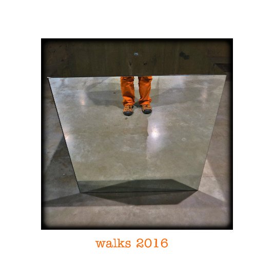 View walks 2016 vol 1 by Trevor Pollard